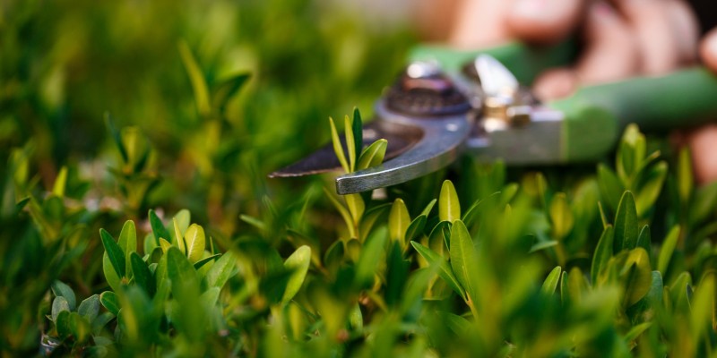 Landscaping tools & supplies