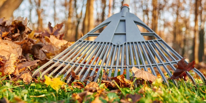 Leaf collectors