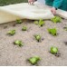 Weed protection mat sheep wool