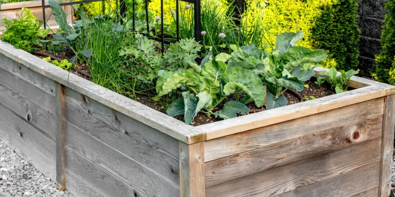 Planters & raised beds 