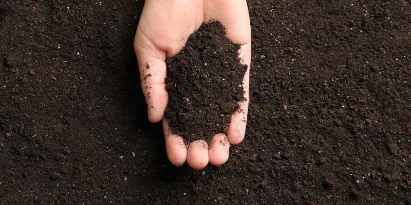 Potting soil Potting soil