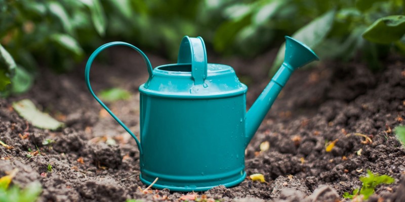Watering cans