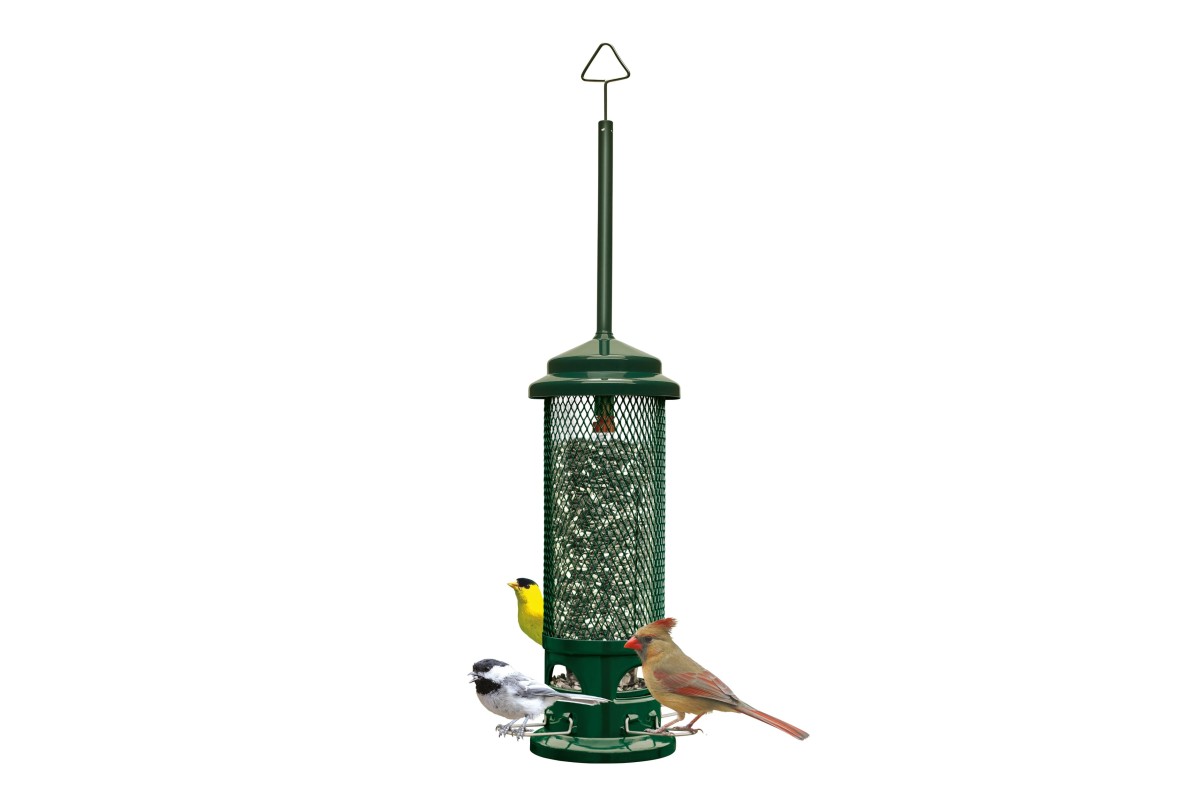 Squirrel Buster® Legacy Squirrel Buster® Legacy